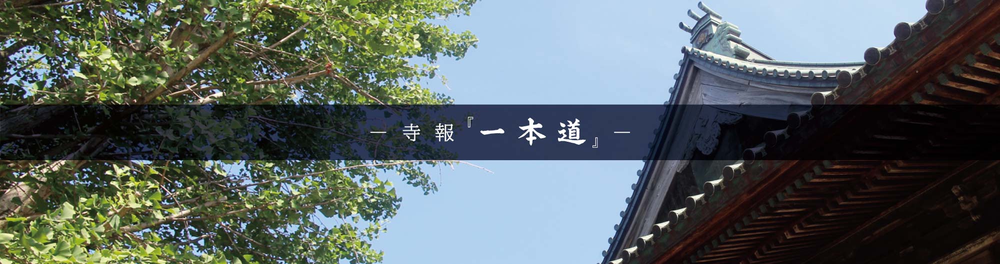 寺報一本道